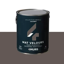 Absolu Peinture Peinture coconut Mat 2,5 L - 4MURS