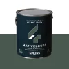Absolu Peinture Peinture mecanic green Mat 2,5 L - 4MURS