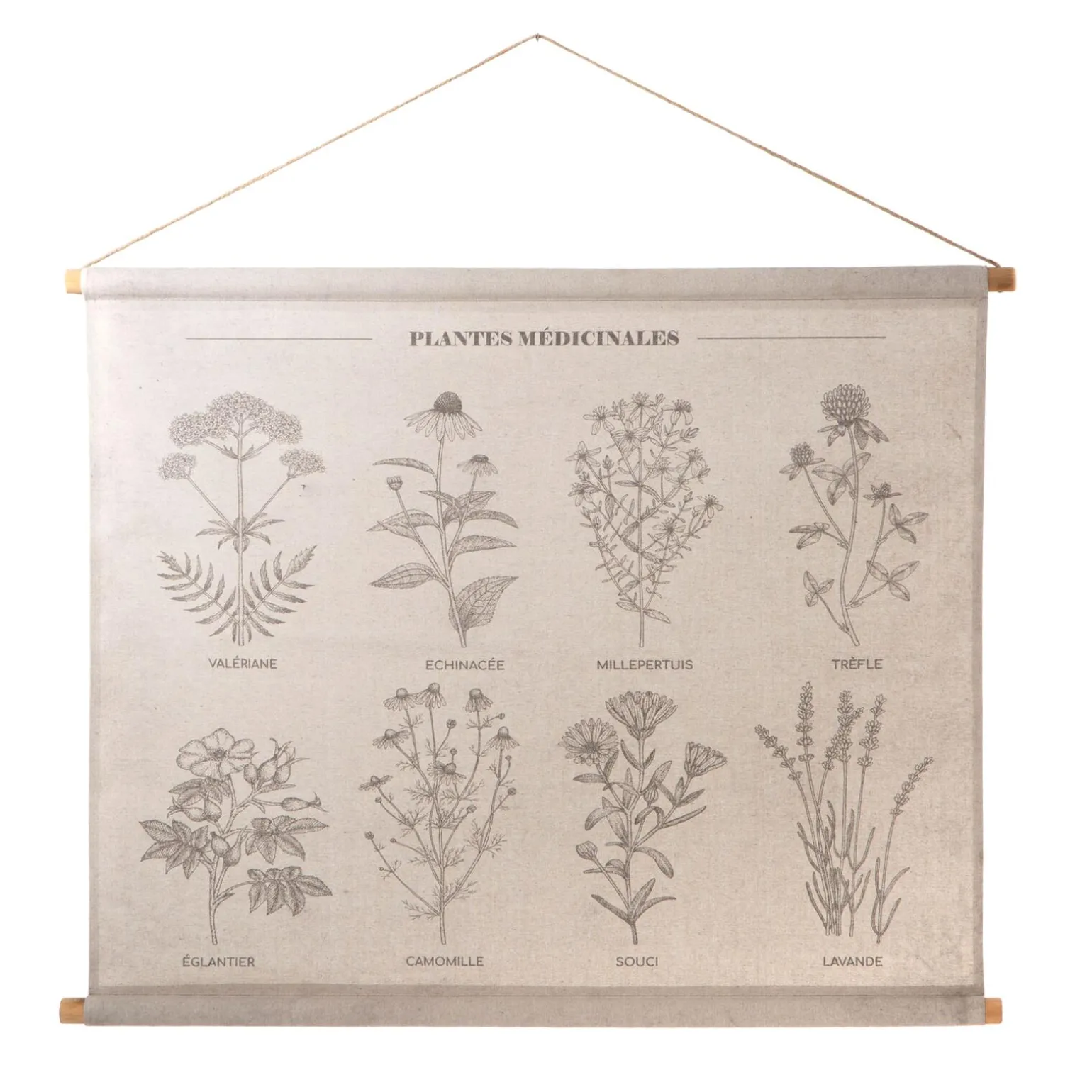 Amadeus Cades Décoration à suspendre PLANTES MÉDICINALES beige - 4MURS