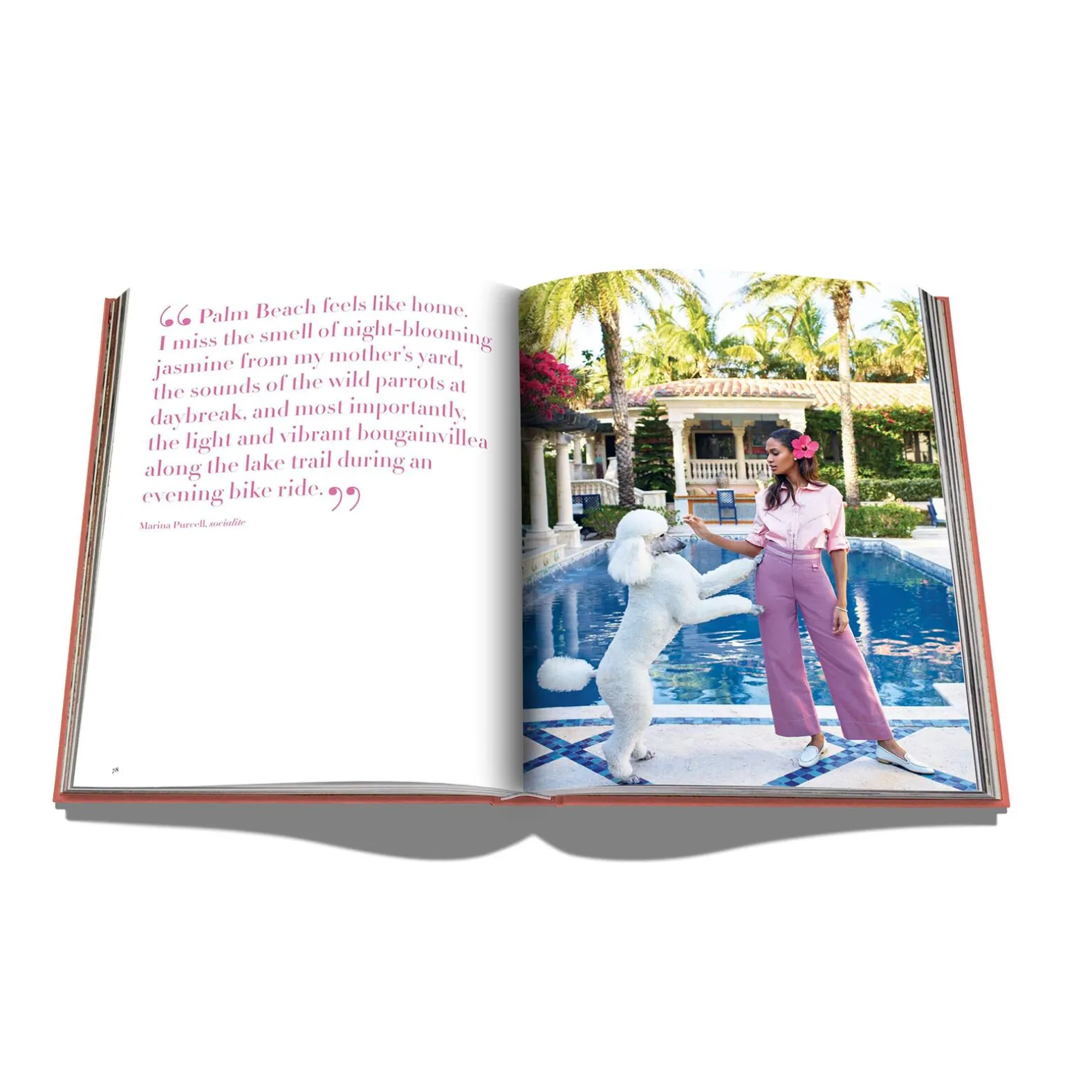 Assouline Livre voyage et nature PALM BEACH - 4MURS