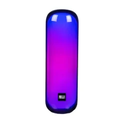 Bigben Enceinte PARTY coloris noir - 4MURS