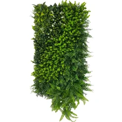 Déco murale IN coloris vert - 4MURS