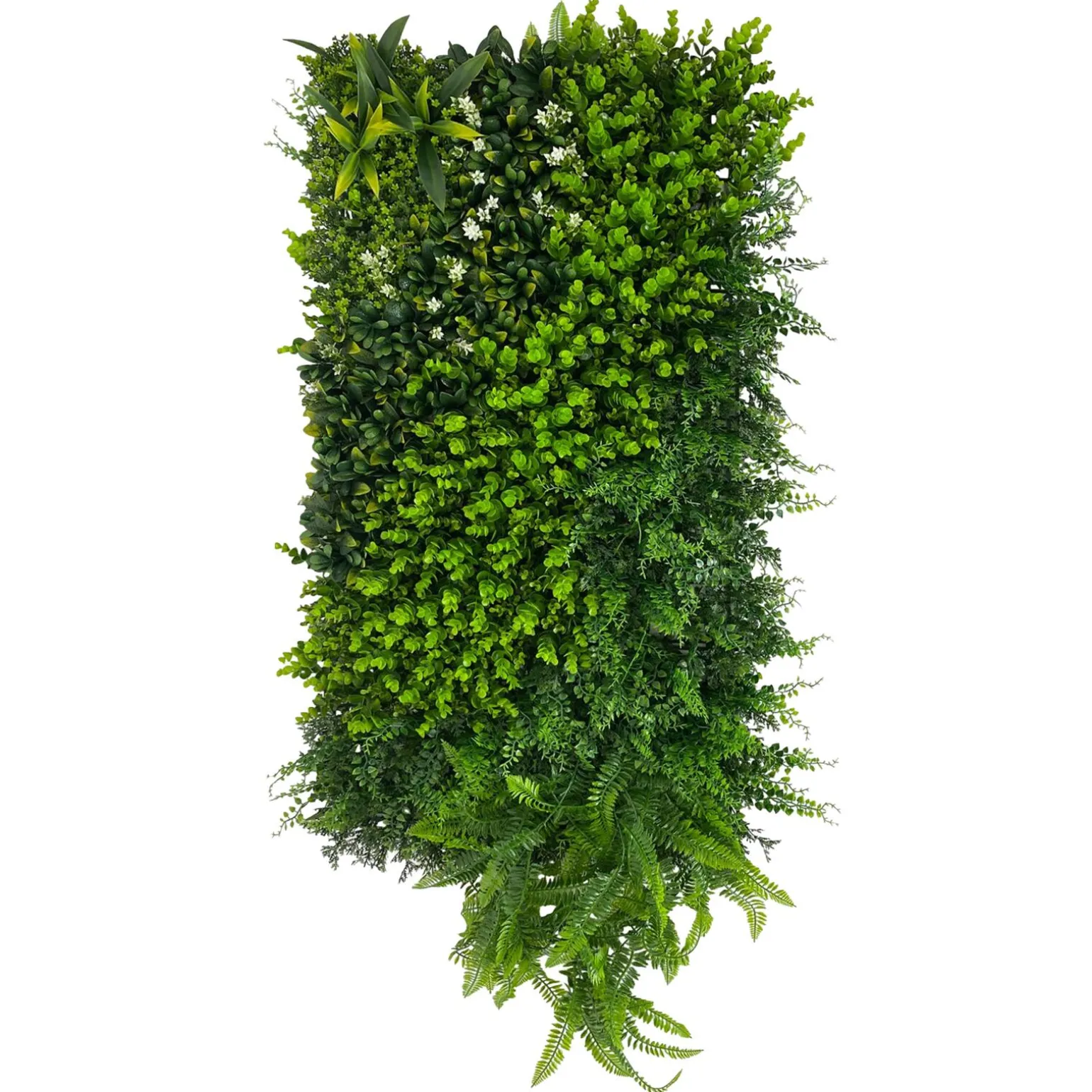 Déco murale IN coloris vert - 4MURS