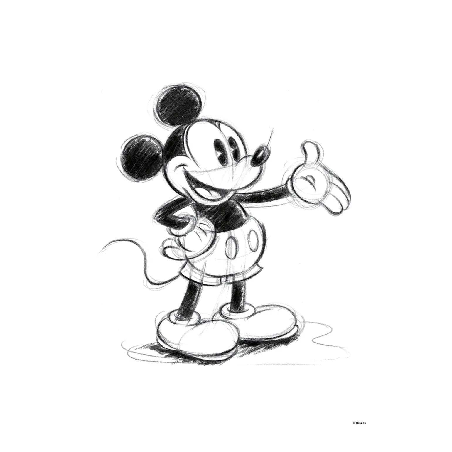Disney Toile imprimée MICKEY SKETCH 50 x 70 cm - 4MURS