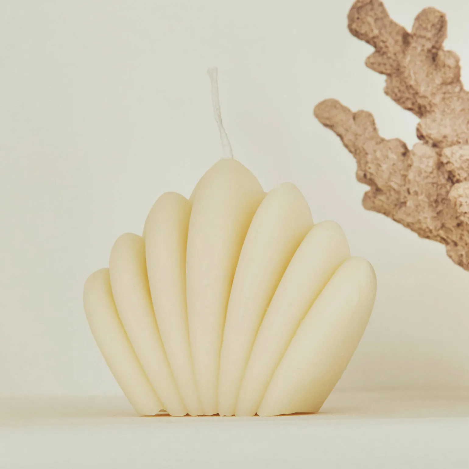 Elate & Co Bougie SHELL coloris beige - 4MURS
