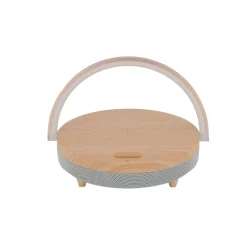 Enceinte LED BOIS BLUETOOTH coloris bois - 4MURS