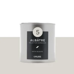 Expression Peinture Finition Peinture blanc albâtre Satiné 0,5 L