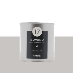 Expression Peinture Finition Peinture buvard Satiné 0,5 L - 4MURS