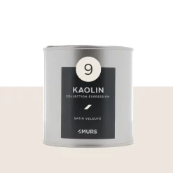 Expression Peinture Finition Peinture blanc kaolin Satiné 0,5 L