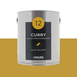 Expression Peinture Multi-supports Peinture curry Satiné - 4MURS