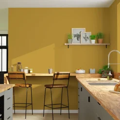 Expression Peinture Multi-supports Peinture curry Satiné - 4MURS