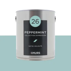 Expression Peinture Multi-supports Peinture peppermint Satiné - 4MURS