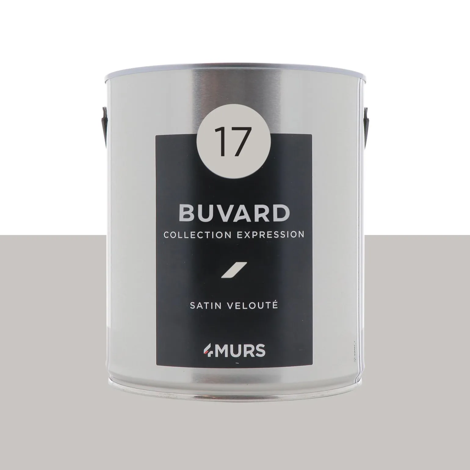 Expression Peinture Multi-supports Peinture buvard Satiné - 4MURS