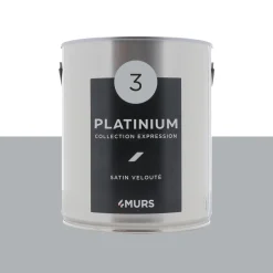 Expression Peinture Multi-supports Peinture platinium Satiné - 4MURS
