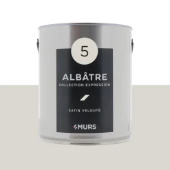 Expression Peinture Multi-supports Peinture blanc albâtre Satiné
