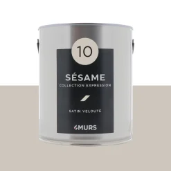 Expression Peinture Multi-supports Peinture sésame Satiné - 4MURS