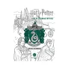 Hachette Pratique Coloriage HARRY POTTER SERPENTARD - 4MURS