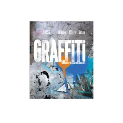 Hachette Pratique Livre arts GRAFFITI 50 ANS D'INTERACTIONS URBAINES