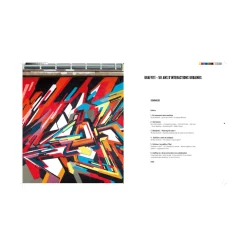 Hachette Pratique Livre arts GRAFFITI 50 ANS D'INTERACTIONS URBAINES