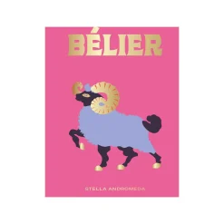 Hachette Pratique Livre bien-être BÉLIER - 4MURS
