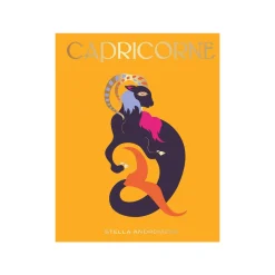 Hachette Pratique Livre bien-être CAPRICORNE - 4MURS
