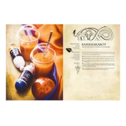 Hachette Pratique Livre culinaire GASTRONOGEEK RECETTES VÉGÉTARIENNES