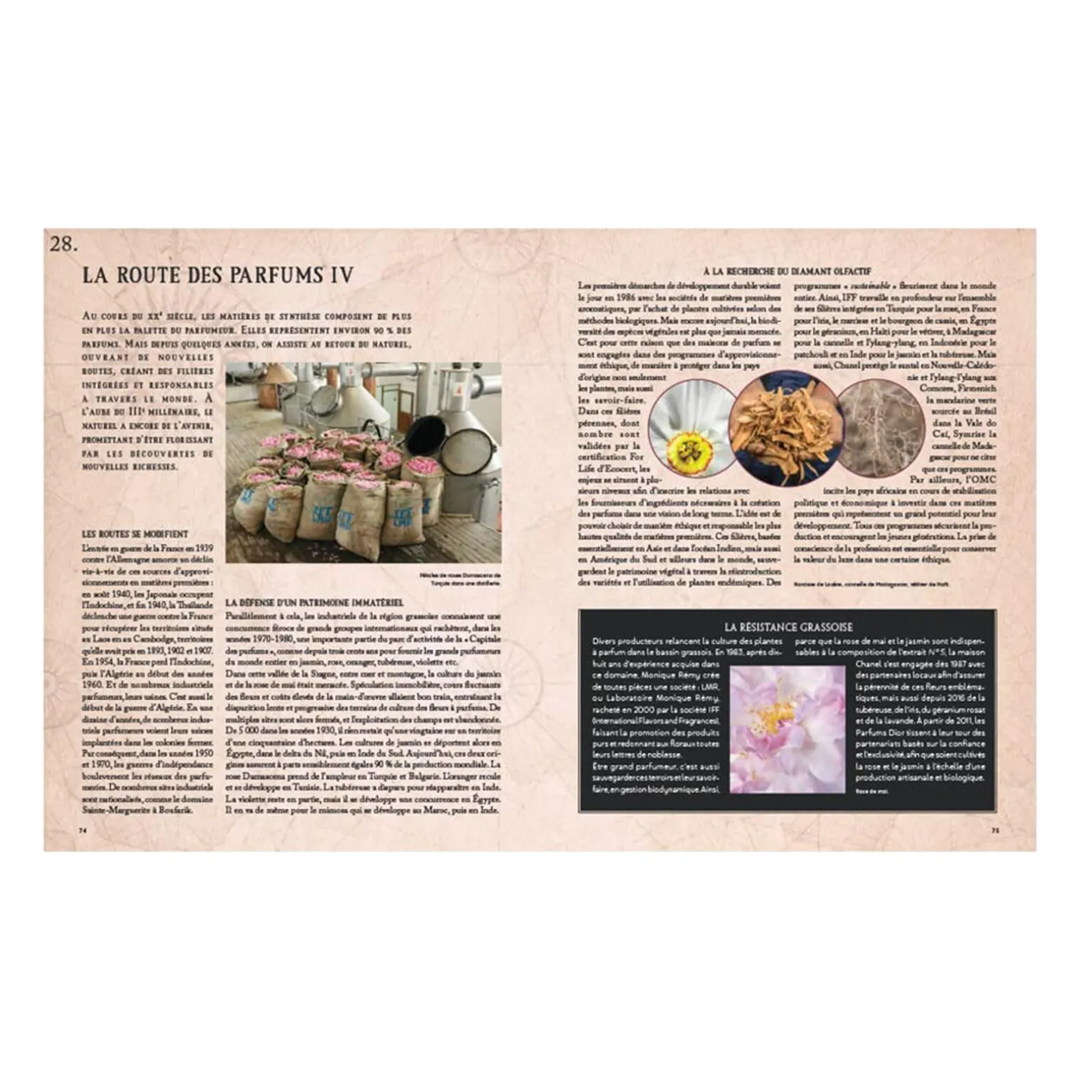 Hachette Pratique Livre mode LA GRANDE HISTOIRE DU PARFUM - 4MURS