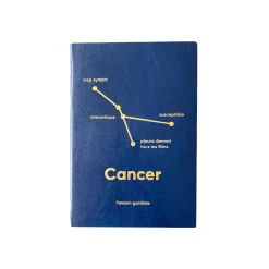 L'AVANT GARDISTE Carnet ASTRO CANCER coloris bleu - 4MURS