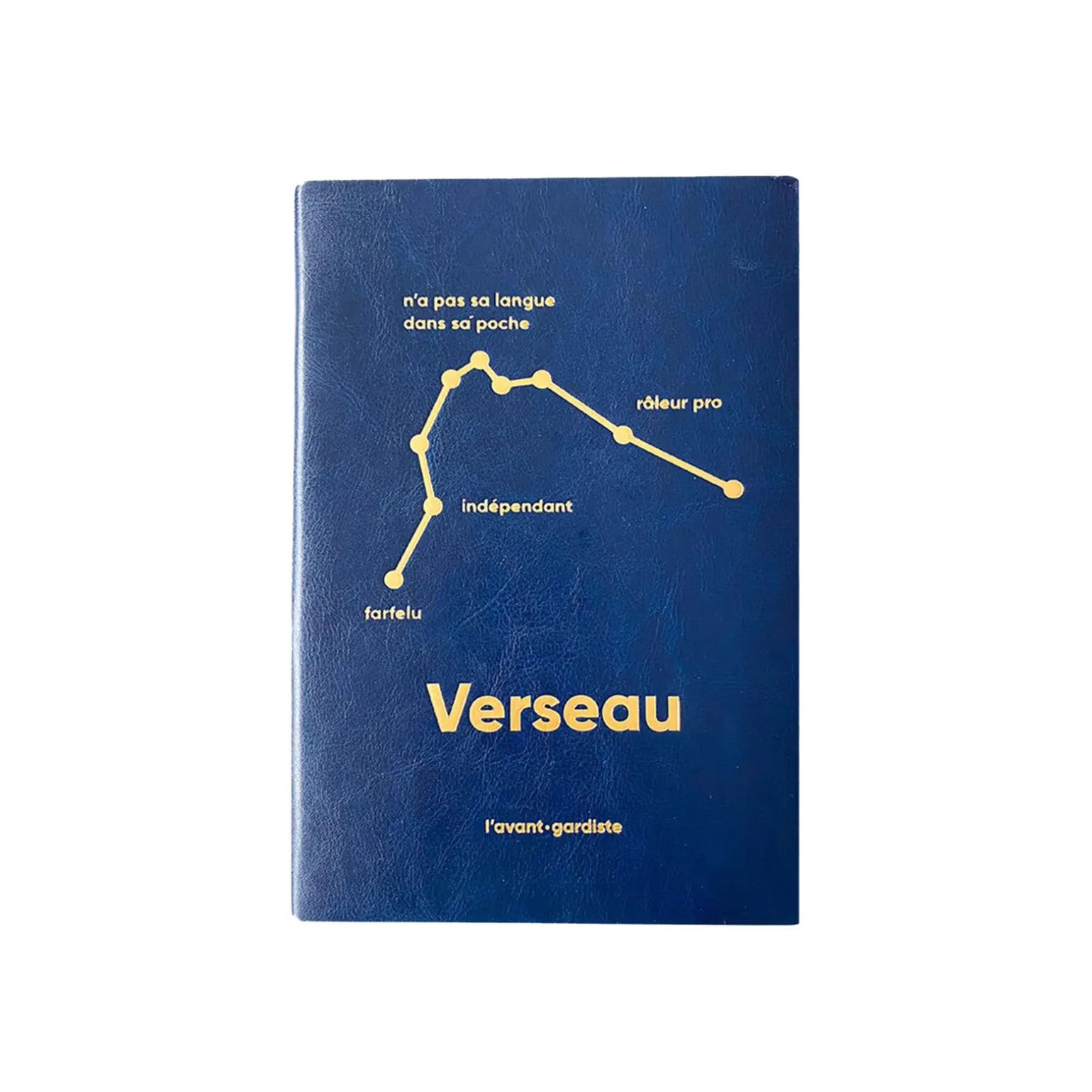 L'AVANT GARDISTE Carnet ASTRO VERSEAU coloris bleu - 4MURS