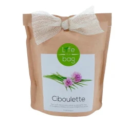 LIFE IN A BAG Plante CIBOULETTE coloris papier kraft - 4MURS