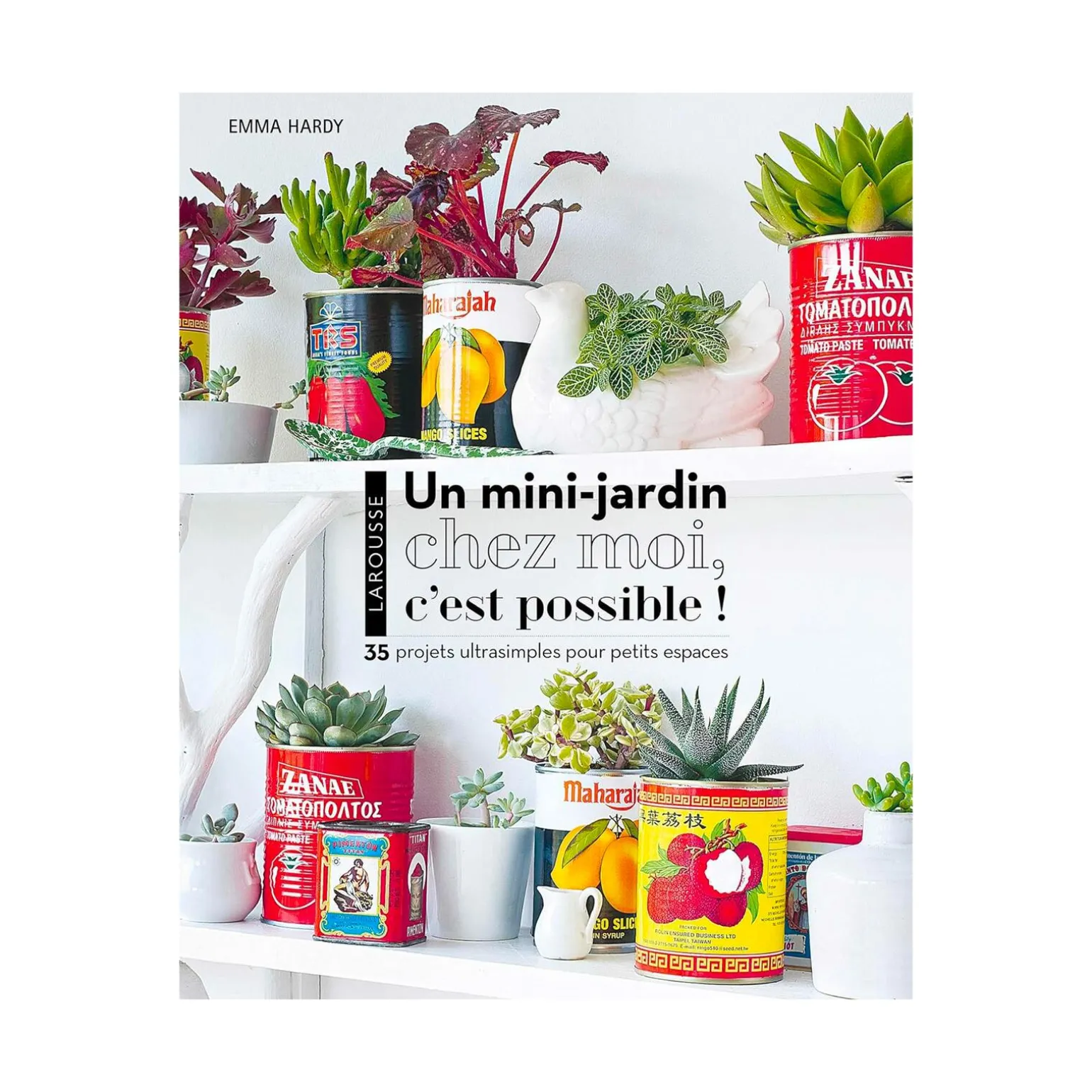Livre voyage et nature UN MINI JARDIN CHEZ MOI, C'EST POSSIBLE !