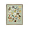 4MURS Image encadrée ABECEDAIRE LA CARTE DES ANIMAUX vert - 4MURS