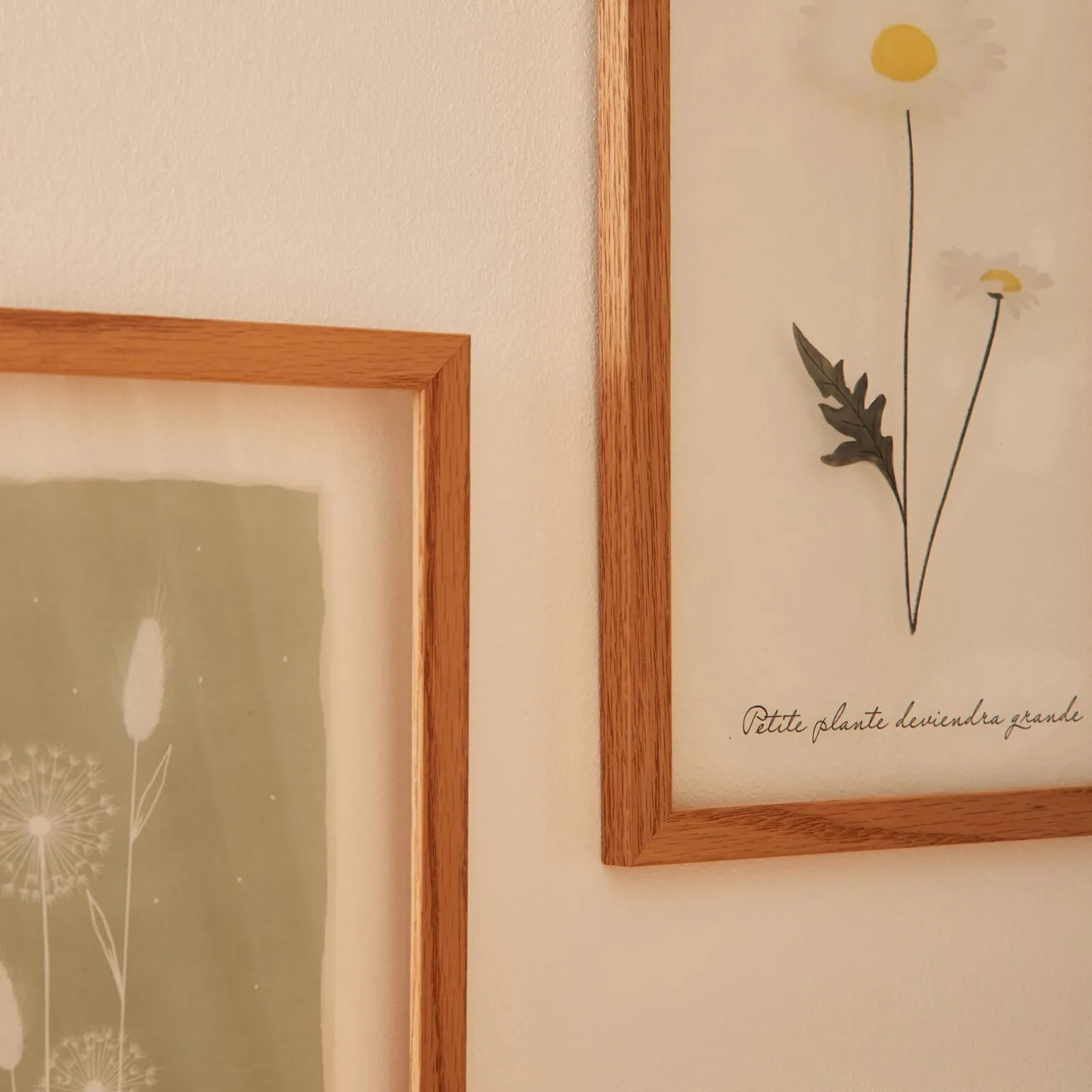 4MURS Image sous verre DOUCE CAMPAGNE GRAMINEES 20 x 30 cm - 4MURS