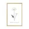 4MURS Image sous verre DOUCE CAMPAGNE MARGUERITE 20 x 30 cm - 4MURS