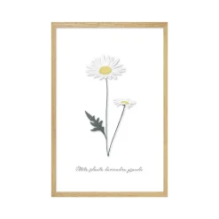 4MURS Image sous verre DOUCE CAMPAGNE MARGUERITE 20 x 30 cm - 4MURS