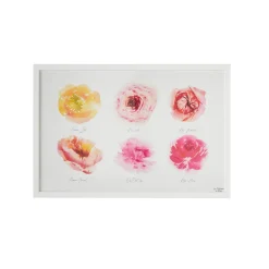 4MURS Image sous verre ROSERAIE 60 x 40 cm - 4MURS