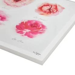 4MURS Image sous verre ROSERAIE 60 x 40 cm - 4MURS