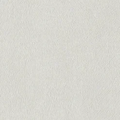 4MURS Papier peint intissé CLASSIC LINE coloris blanc grisé - 4MURS