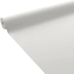 4MURS Papier peint intissé NUNCA coloris Gris clair - 4MURS