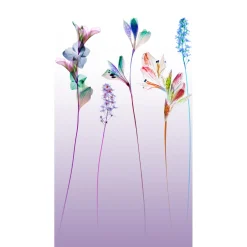 4MURS Papier peint panoramique L ZELYA 150 x 280 cm - 4MURS