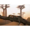 4MURS Tableau LEOPARD coloris orange - 4MURS