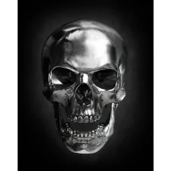 4MURS Toile imprimée DARK SKULL 70 x 100 cm - 4MURS