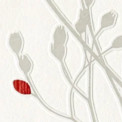 Papier peint intissé AUDACE coloris écru - 4MURS
