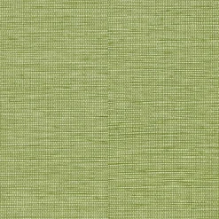 Papier peint intissé CURAÇAO coloris vert bambou - 4MURS