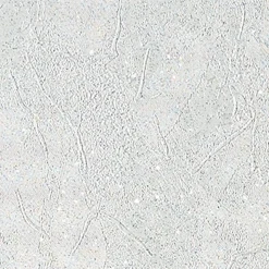 Papier peint intissé FEERIA coloris blanc - 4MURS