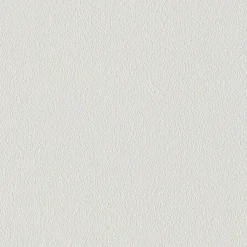 Papier peint intissé NEW INFINITY coloris gris perle - 4MURS