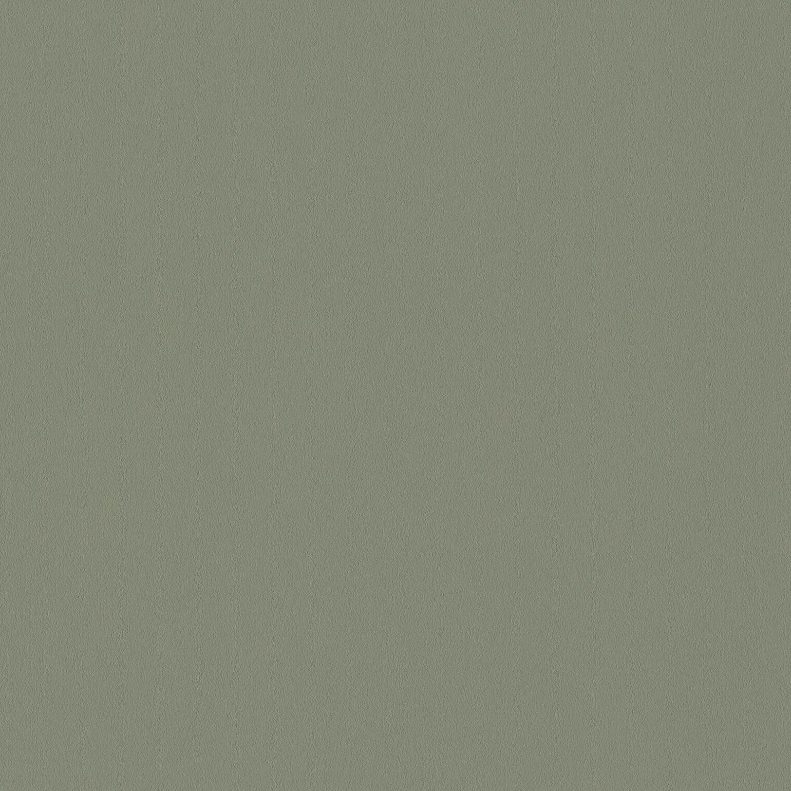 Papier peint intissé NEW INFINITY coloris kaki clair - 4MURS