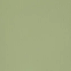 Papier peint intissé NUNCA coloris vert amande - 4MURS