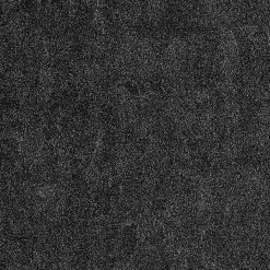 Papier peint intissé PALAZZO coloris noir - 4MURS