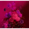Papier peint panoramique XL GRAPPOLO 300 x 270 cm fuchsia - 4MURS